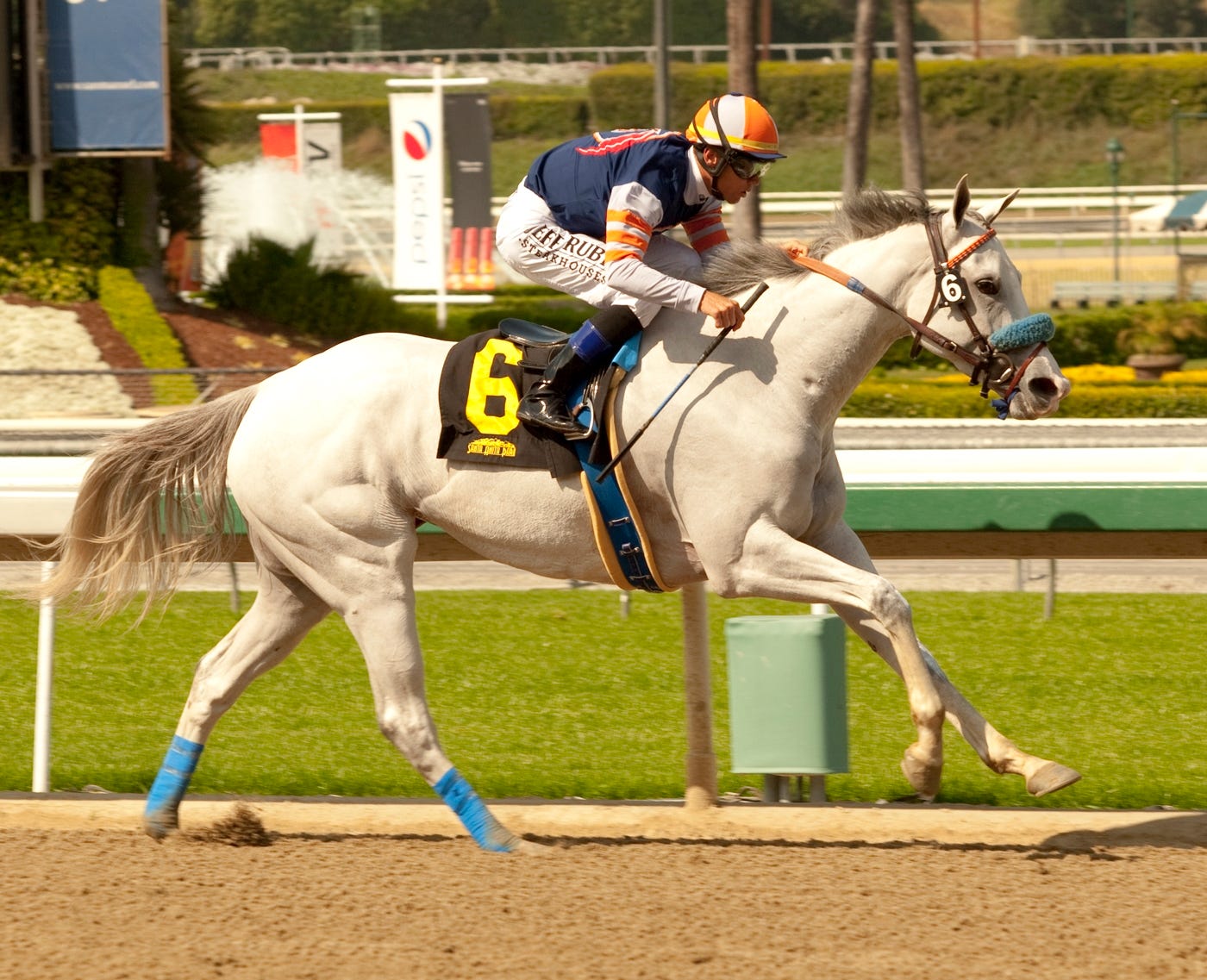 Santa Anita Egg Drop looks appealing in Santa Lucia despite challenges
